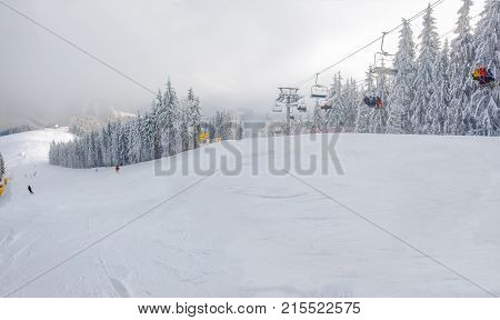 Ski and chairlift among spruce forest in ski resort at a cloudy frosty day in Carpathian Mountains