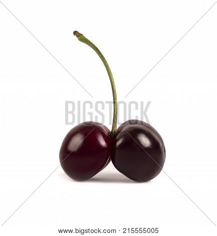 two cherries on one branch on a white background