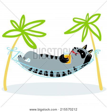 Summer holidays. Cat lying in hammock. Feline funny character with drink. Vector illustration
