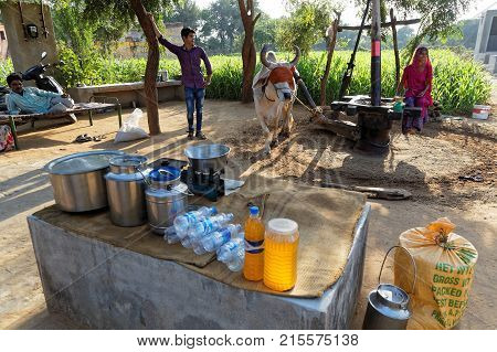 Ranakpur, India, November 3, 2017 : A Noria, Also Called Sakia Or Persian Wheel, Powered By A Cow In