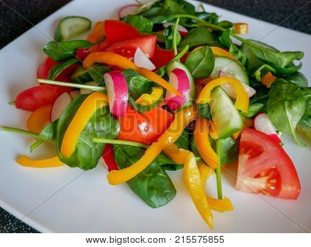 Fresh green vegetable salad with radish tomatoes color peppers on the white plate