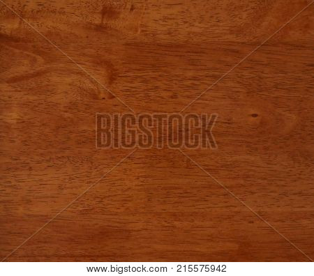 Wood texture with natural pattern. Background dark.