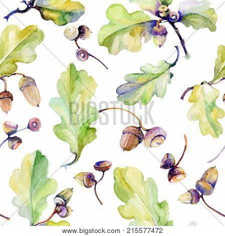 Forest acorn pattern pattern in a hand drawn watercolor style. Aquarelle acorn for background, texture, wrapper pattern, frame or border.