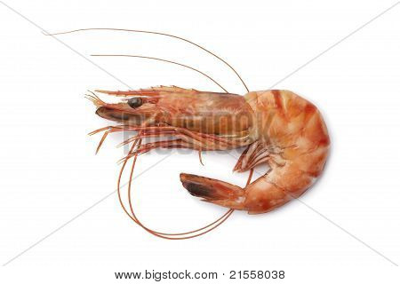 Camarones cocinados todo solo