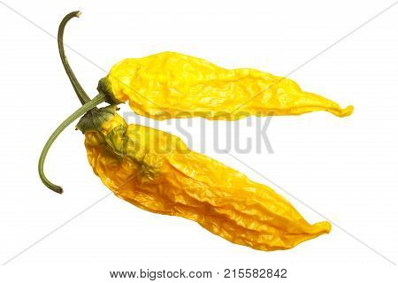 Dried Aji Pineapple C Baccatum, Top, Paths