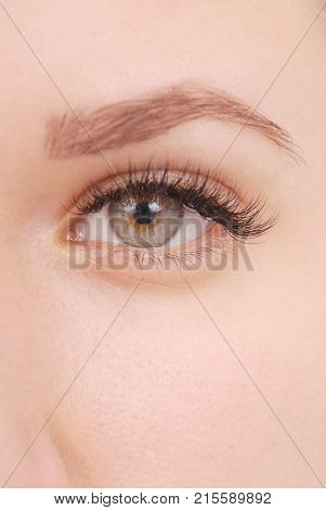 Beautiful woman eye with long eyelashes. Close up view of grey woman eye with beautiful brown shades. Studio shot