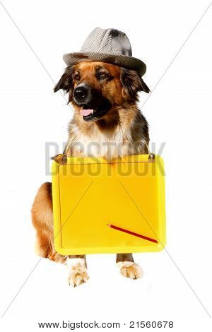 DoD mit Board