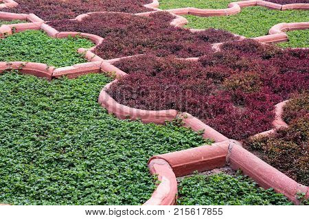 Close-up flowerbeds of Angoori Bagh or Garden of Grapes in Agra fort, India. It's symmetrical garden near Dewan-e-Khaas. It was a private garden for Mughal ladies. Unesco heritage site