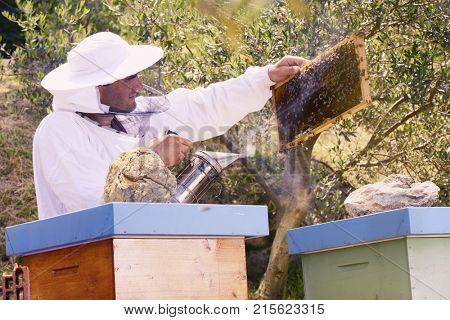 Bee keeper calming bees with smoke