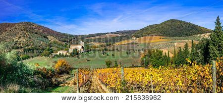 Landscapes of Tuscany - abbey Sant'Antimo and vineyards, Italy