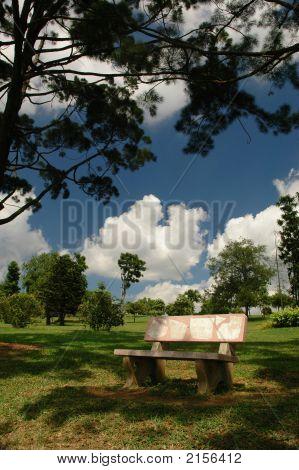 Resting Under Shade