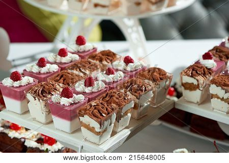 Shot of delicious tiramisu desserts on the table with fruit jelly portions decorated with whipped cream and raspberries eating food sweet sugar candy buffet festive gathering party.