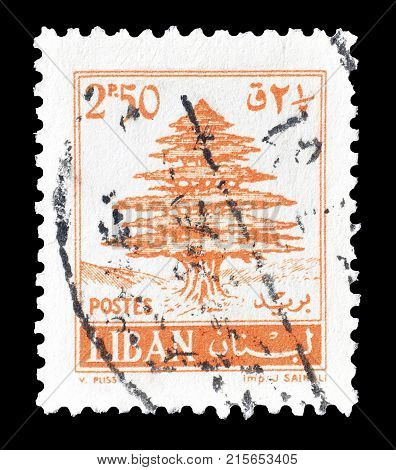 LEBANON - CIRCA 1961 : Cancelled postage stamp printed by Lebanon, that shows Cedar tree.