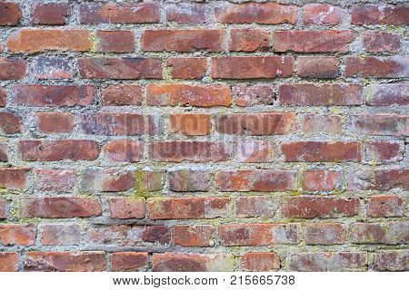 Old vintage wall of red bricks as background