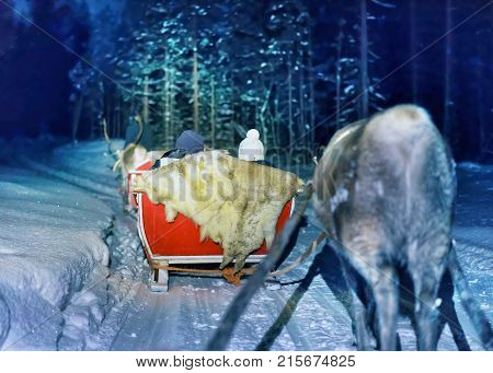 People in reindeer sleigh at night safari in the forest of Rovaniemi Lapland Finland. Toned