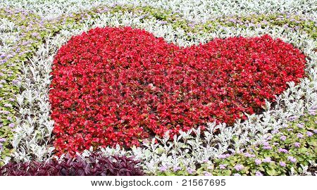 Blumen Herz