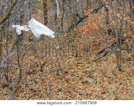 Litter, trash in the forest in late Fall on hiking trails through trees on the Yellow Fork and Rose Canyon Trails in Oquirrh Mountains on the Wasatch Front in Salt Lake County Utah USA.