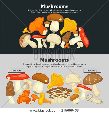 Mushrooms of all species, edible and harmful, that grow in autumn and spring seasons at forest on Internet promotional poster cartoon flat vector illustrations on black and grey backgrounds.