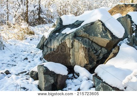 Stones Covered With Snow In A Winter Forest On A Sunny Day.