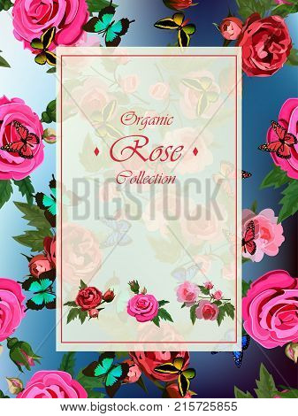 Celebration postcard design with roses and butterflies. Gread design for wedding or other celebration invintation