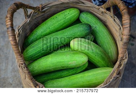 Fresh Green Cucumbers In The Market