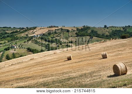 Landscape Near Ascoli Piceno At Summer