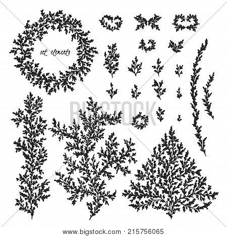 Hand drawn natural vector elements for design