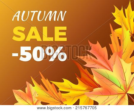 Autumn sale -50 off sign poster with maple colorful foliage in corner vector illustration isolated on brown background. half price discount at fall season