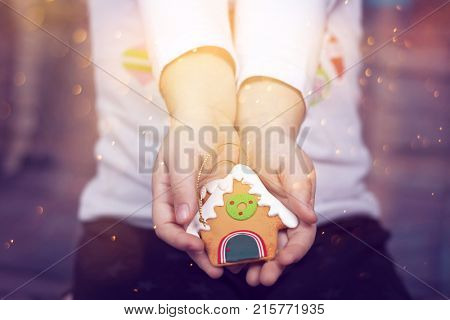 Little girl with beautiful Christmas dress holding gingerbred cookie - Christmas concept