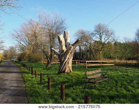 Peaceful spot near Pocklington Canal, Yorkshire, UK