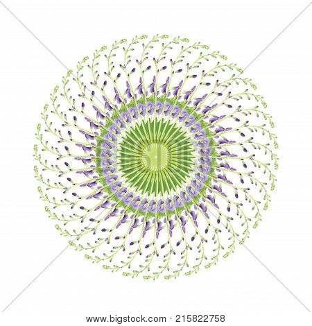 Circular collage of stem of purple baptisia with leaves flowers and buds isolated on white.