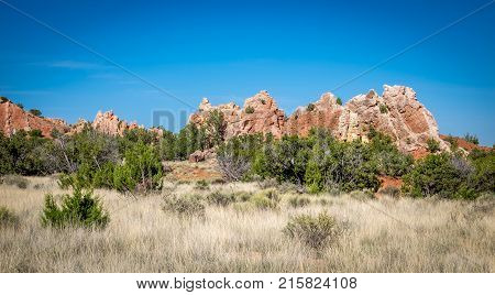 Beautiful native landscape of red rock and flora of Madrid New Mexico.