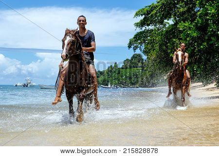 Taveuni, Fiji - November 23: Unidentified Man Rides A Horse On The Beach On November 23, 2013 On Tev
