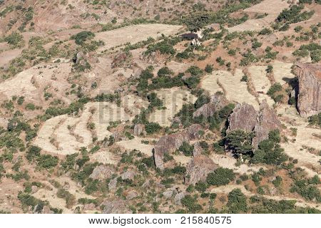 Field Terraces In The Ethiopian Mountains