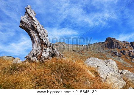 Autumn landscape in Adamello - Presanella Alpine Group, Italy, Europe