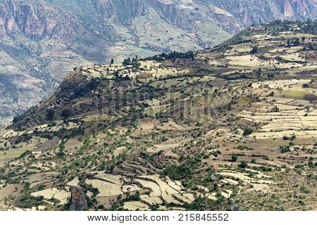 Field Terraces In The Ethiopian Mountains