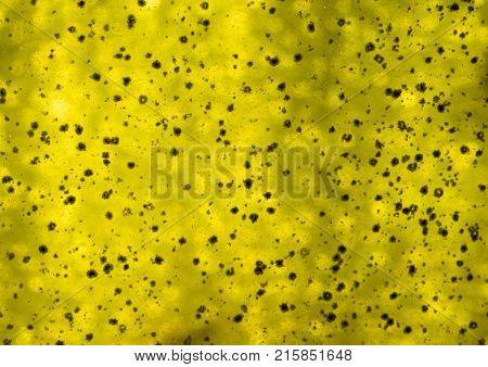 Dirty yellow background. Texture for work .