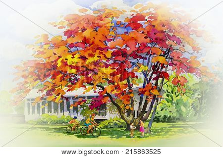 Watercolor landscape original painting red orange color of peacock flowers and family exercise on grass field in home. Hand painted blue sky cloud background, beauty nature summery season.