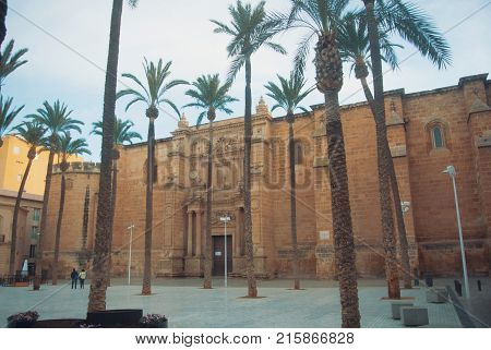 Cathedral Of Almeria (cathedral Of The Incarnation Of Almeria) And Tall Palms At The Square Near It