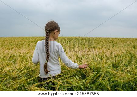 Girl With Long Hair Walking In Rye Field On Warm And Cloudy Summer Day