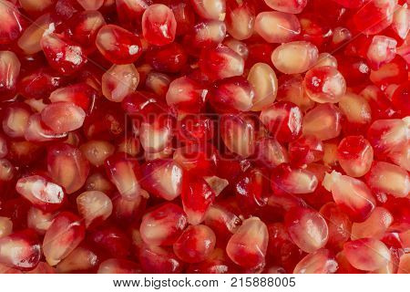 Red Background of Grain Red Grenades. Big Ripe Red Granets or Garnets. Fruits of Red Ripe Pomegranate on the White Background. Vegetarian Concept, Organic Vitamins. Organic and Benefit Garnet Fruit.