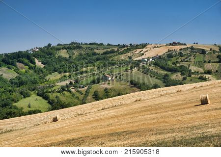 Landscape Near Ascoli Piceno At Summer