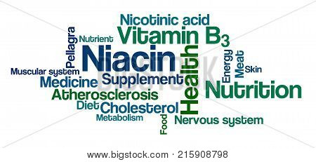 Word Cloud On A White Background - Niacin