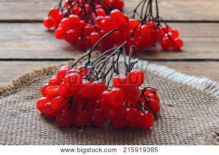 Red ripe Viburnum, kalina in autumn on wooden background
