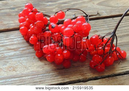 Red ripe Viburnum, kalina in autumn on wooden background