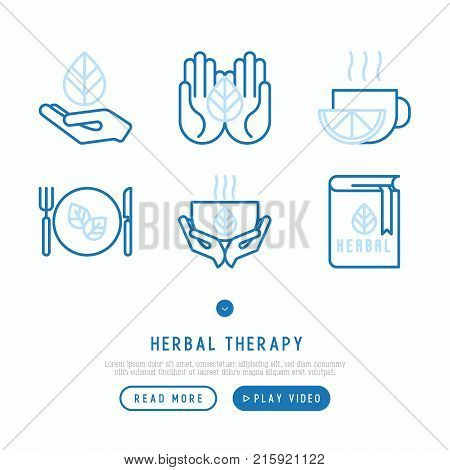 Herbal therapy thin line icons set: hands with leave, cup of tea, recipe book. Modern vector illustration.