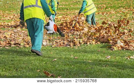 Workers cleaning fallen autumn leaves with a leaf blower