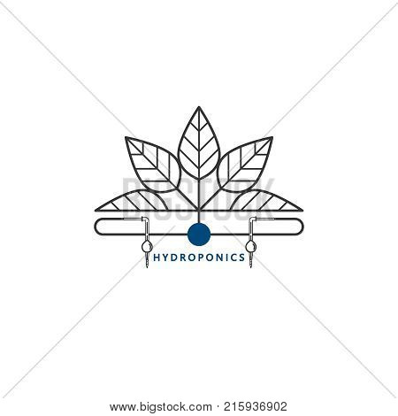 Hydroponics icon, drip irrigation. Element of design for web, business cards, brochures, garden equipment shop. Modern linear style. Vector illustration.