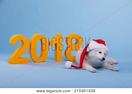 A cute white fluffy Samoyed puppy in a red Christmas cap lays and looks down. On a blue background, next to the orange big number 2018.