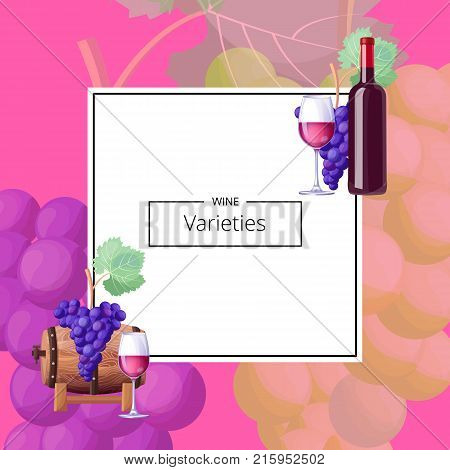 Wine varieties, poster with title sample in rectangular frame in centerpiece, icons of glass, grapes and barrel on vector illustration